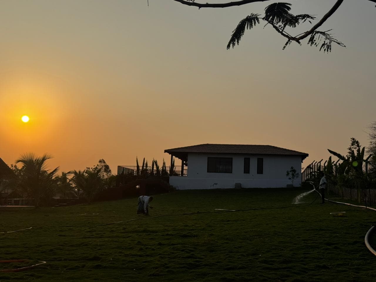 Forest Lore resort forest surroundings, Vikarabad Telangana